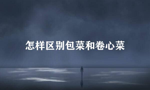 怎样区别包菜和卷心菜