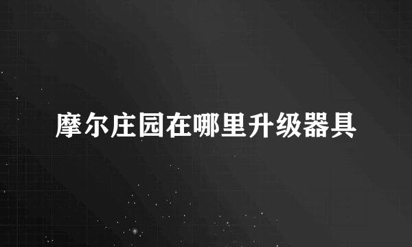 摩尔庄园在哪里升级器具