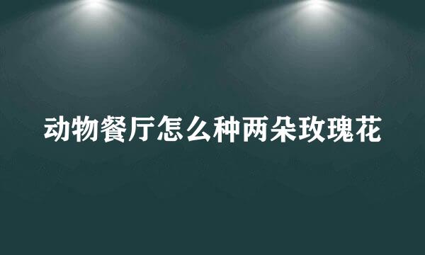 动物餐厅怎么种两朵玫瑰花