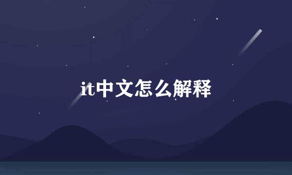 it中文怎么解释