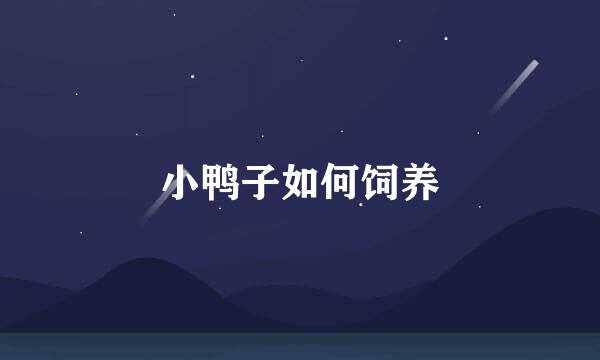 小鸭子如何饲养