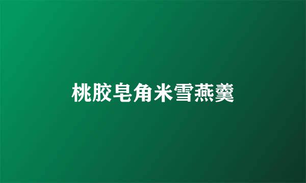 桃胶皂角米雪燕羹