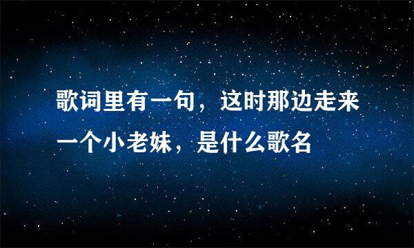 歌词里有一句，这时那边走来一个小老妹，是什么歌名