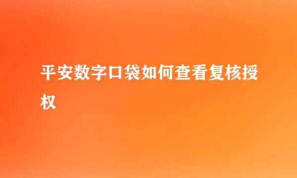 平安数字口袋如何查看复核授权