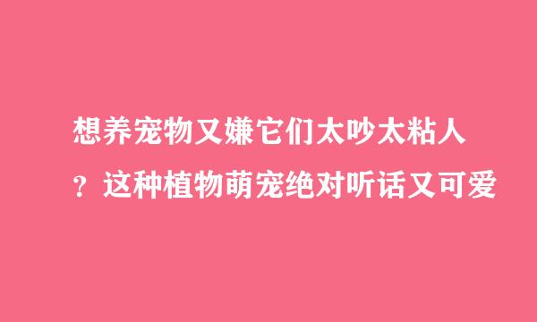 想养宠物又嫌它们太吵太粘人？这种植物萌宠绝对听话又可爱