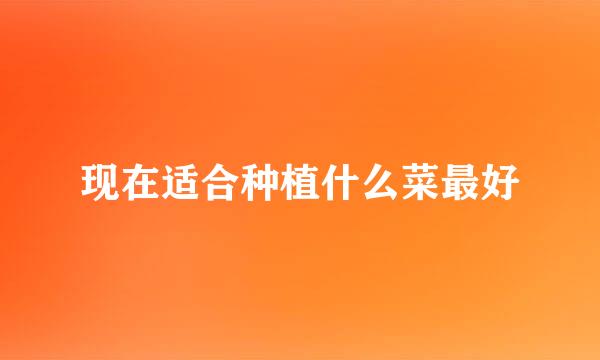 现在适合种植什么菜最好