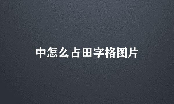 中怎么占田字格图片