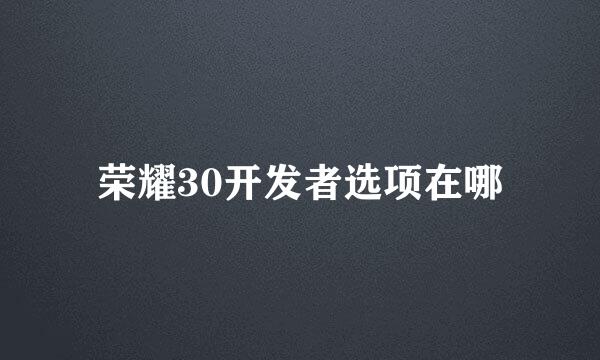 荣耀30开发者选项在哪