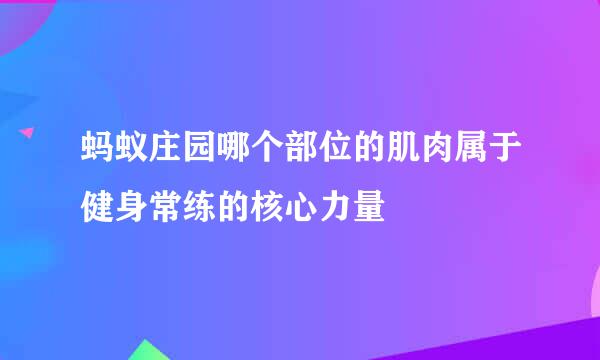 蚂蚁庄园哪个部位的肌肉属于健身常练的核心力量