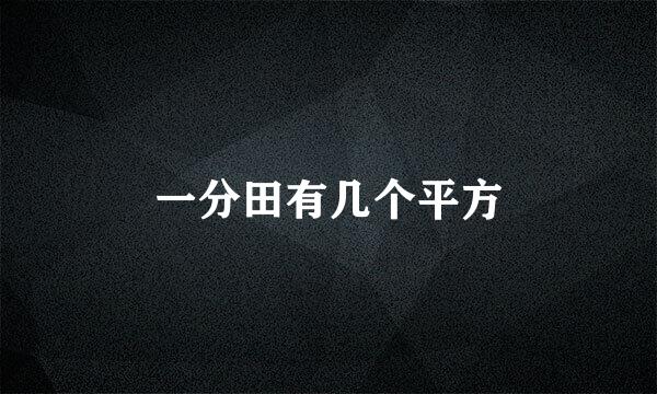 一分田有几个平方