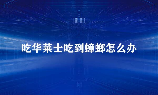 吃华莱士吃到蟑螂怎么办