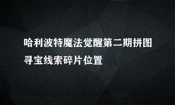 哈利波特魔法觉醒第二期拼图寻宝线索碎片位置