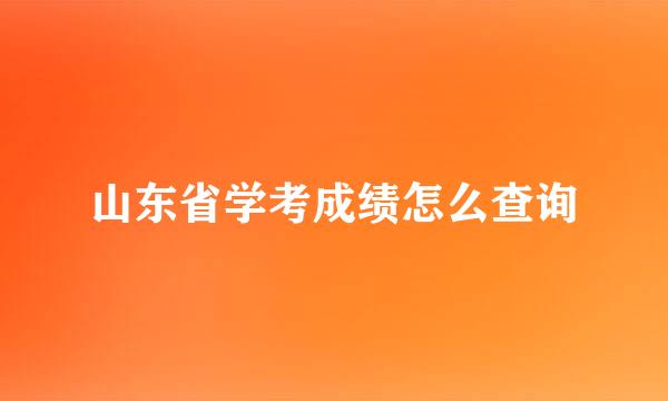 山东省学考成绩怎么查询