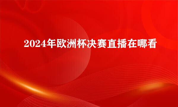 2024年欧洲杯决赛直播在哪看