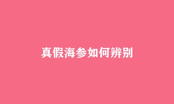真假海参如何辨别