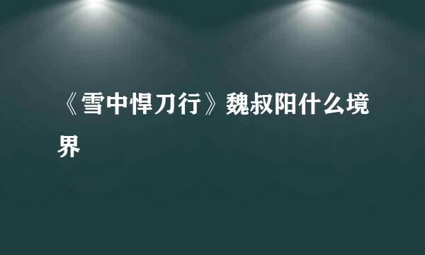 《雪中悍刀行》魏叔阳什么境界