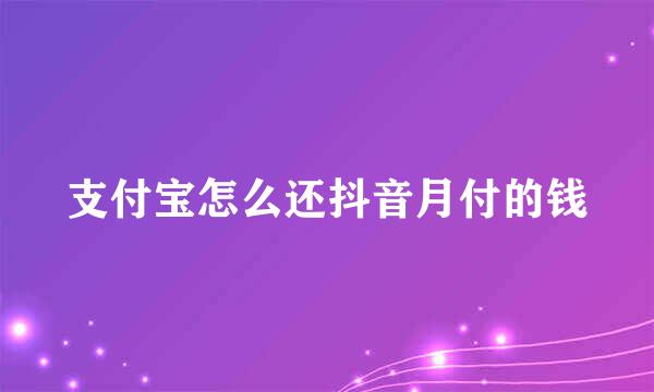支付宝怎么还抖音月付的钱
