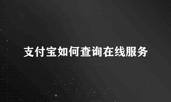 支付宝如何查询在线服务