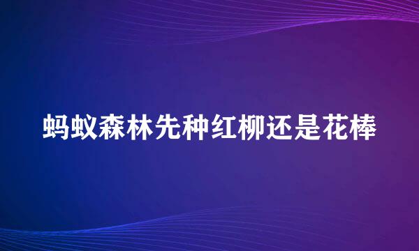 蚂蚁森林先种红柳还是花棒