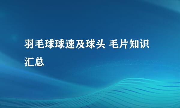 羽毛球球速及球头 毛片知识汇总