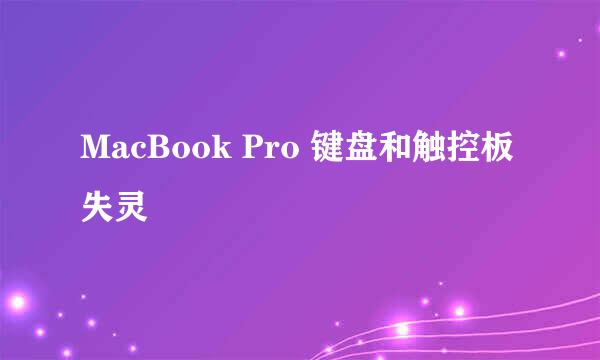 MacBook Pro 键盘和触控板失灵