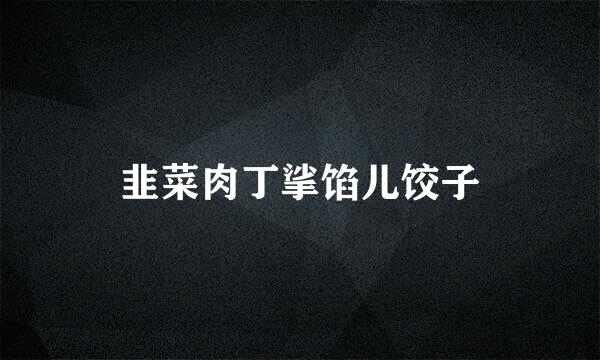 韭菜肉丁挲馅儿饺子