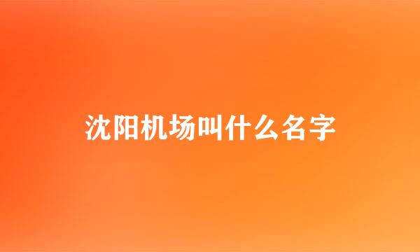 沈阳机场叫什么名字
