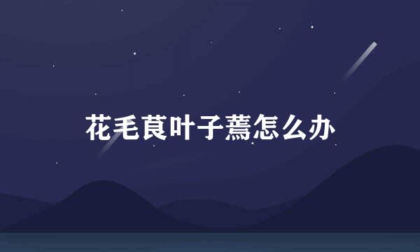 花毛茛叶子蔫怎么办