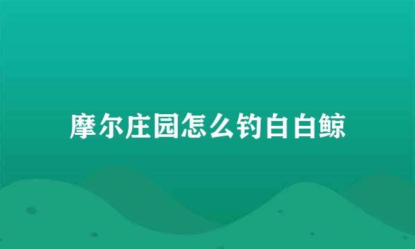 摩尔庄园怎么钓白白鲸