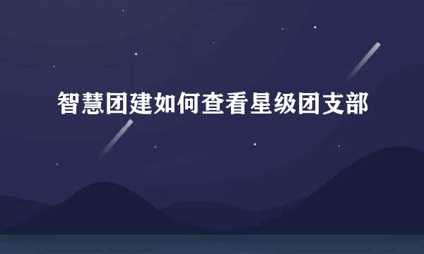 智慧团建如何查看星级团支部
