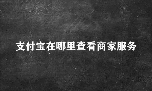 支付宝在哪里查看商家服务