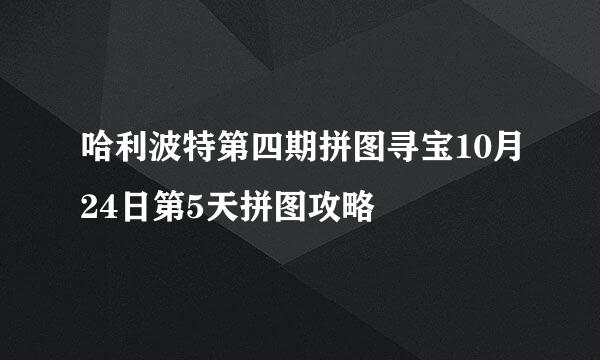 哈利波特第四期拼图寻宝10月24日第5天拼图攻略