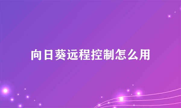 向日葵远程控制怎么用