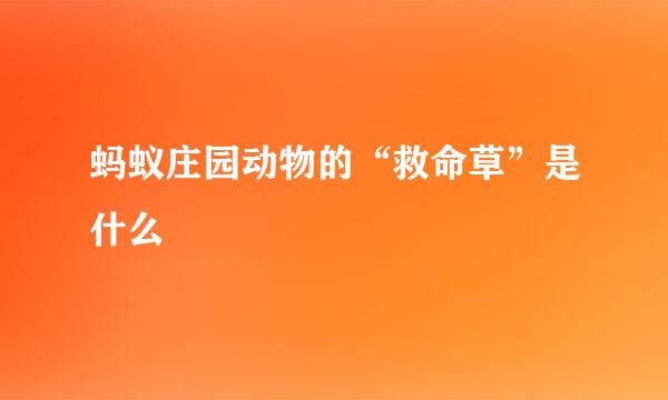 蚂蚁庄园动物的“救命草”是什么