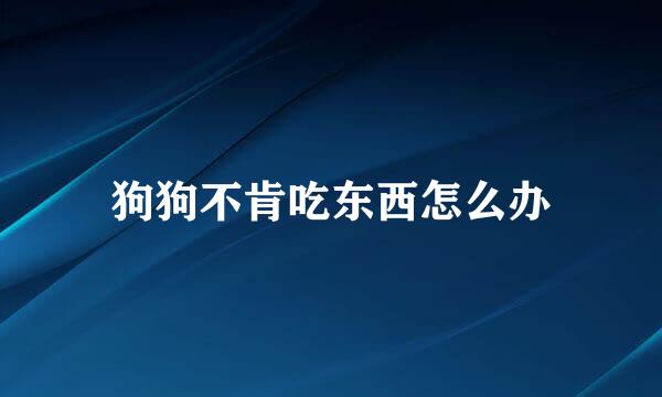 狗狗不肯吃东西怎么办