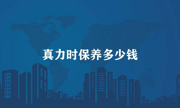 真力时保养多少钱