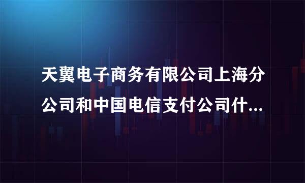 天翼电子商务有限公司上海分公司和中国电信支付公司什么关系啊