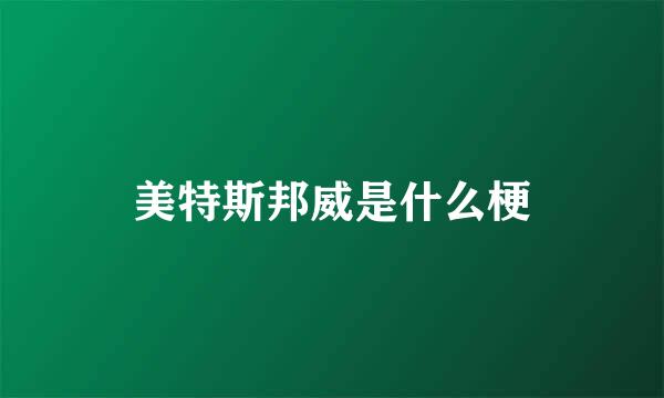 美特斯邦威是什么梗