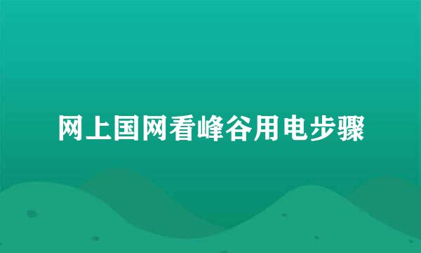 网上国网看峰谷用电步骤