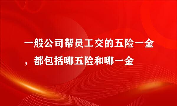 一般公司帮员工交的五险一金，都包括哪五险和哪一金