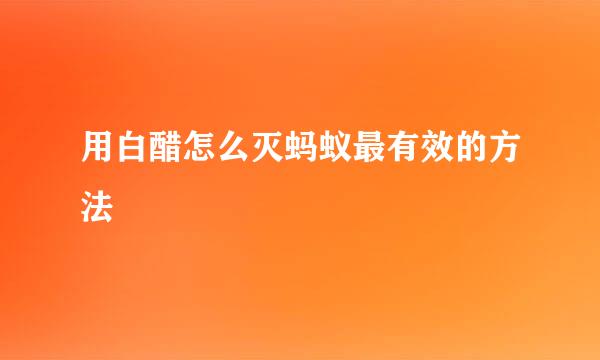 用白醋怎么灭蚂蚁最有效的方法