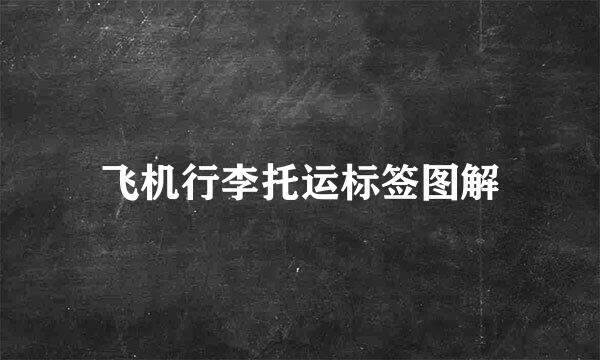 飞机行李托运标签图解