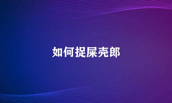 如何捉屎壳郎