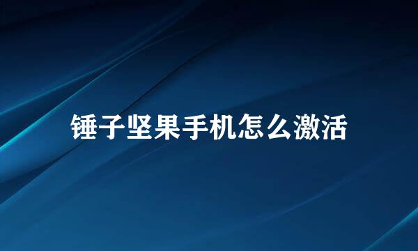 锤子坚果手机怎么激活