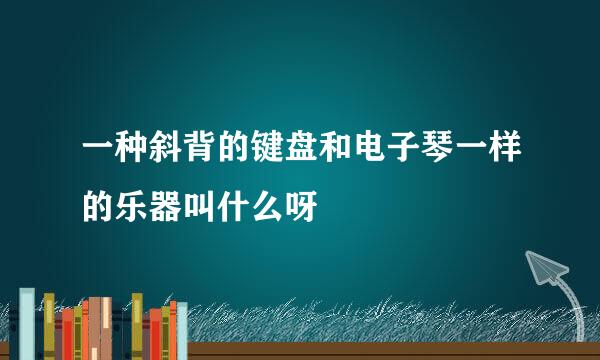 一种斜背的键盘和电子琴一样的乐器叫什么呀