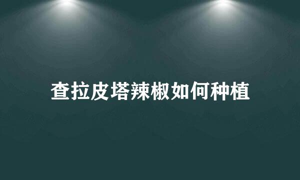 查拉皮塔辣椒如何种植