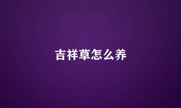 吉祥草怎么养