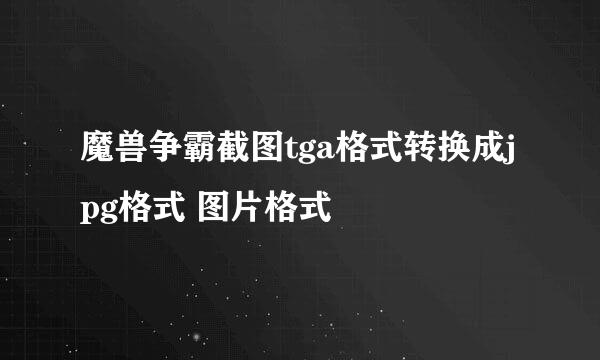 魔兽争霸截图tga格式转换成jpg格式 图片格式