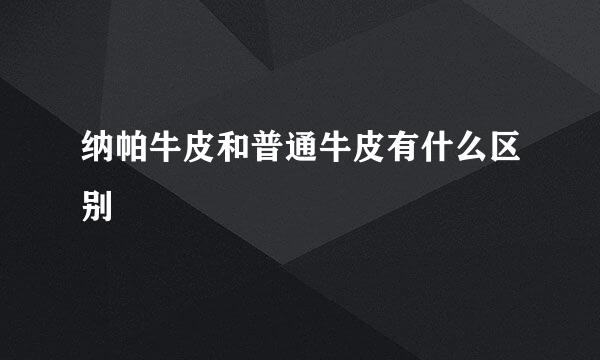 纳帕牛皮和普通牛皮有什么区别