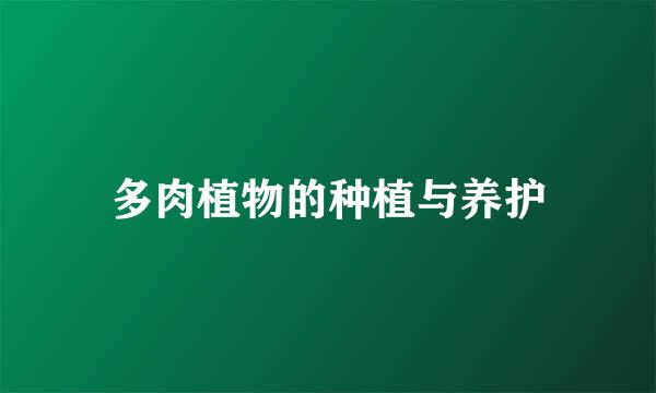 多肉植物的种植与养护